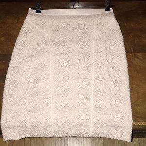 Ann Taylor Lace Skirt